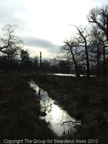 dunhammassey (15)